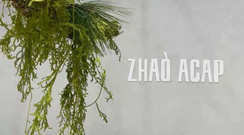ZHAO ACAP Plants and Objects Display