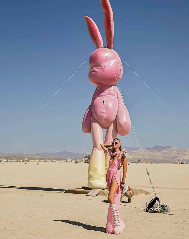 MONA Rabbit Installation