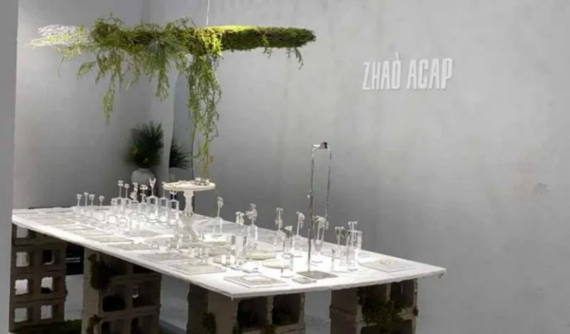 ZHAO ACAP Plants and Objects Display