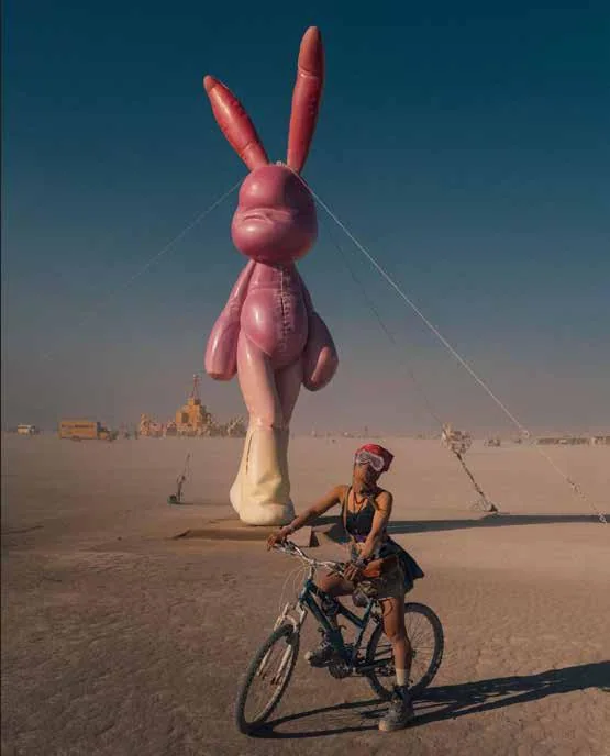MONA Rabbit Installation