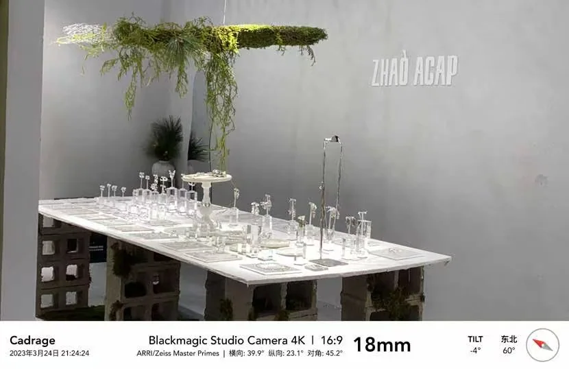 ZHAO ACAP Plants and Objects Display
