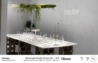 ZHAO ACAP Plants and Objects Display