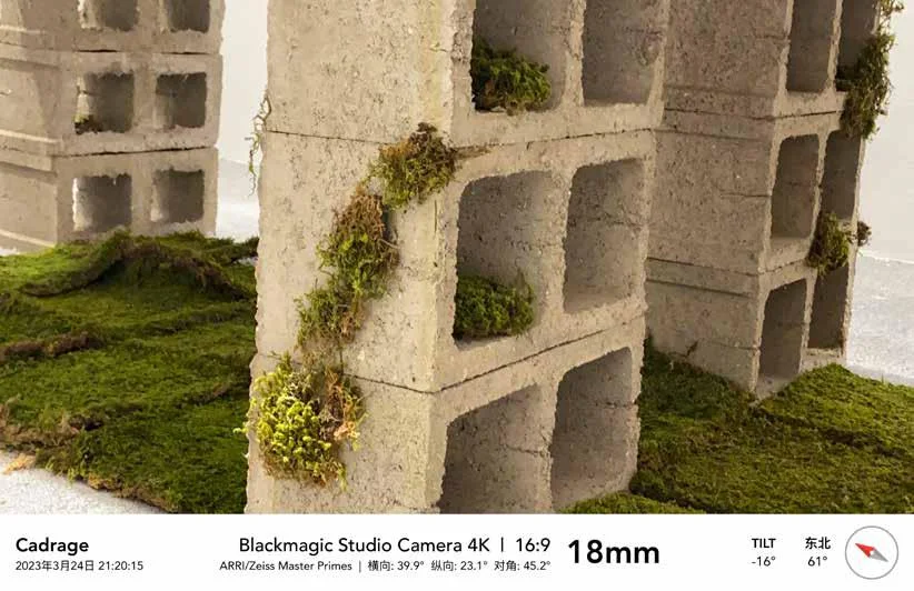 ZHAO ACAP Plants and Objects Display