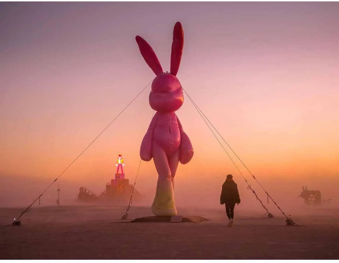 MONA Rabbit Installation