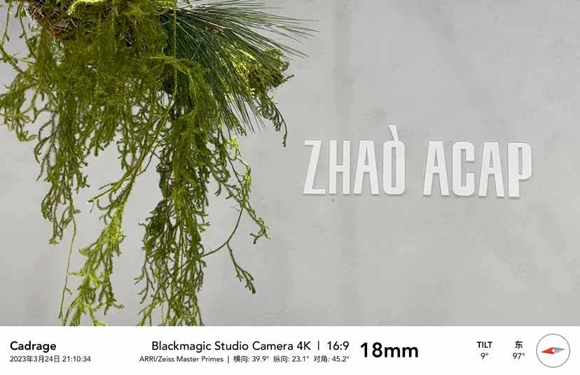 ZHAO ACAP Plants and Objects Display