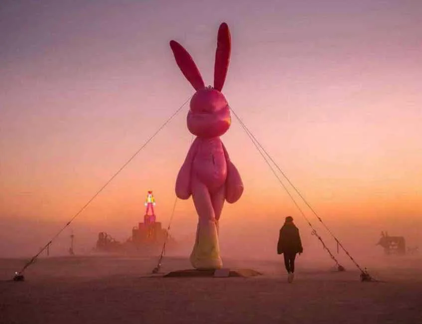 MONA Rabbit Installation